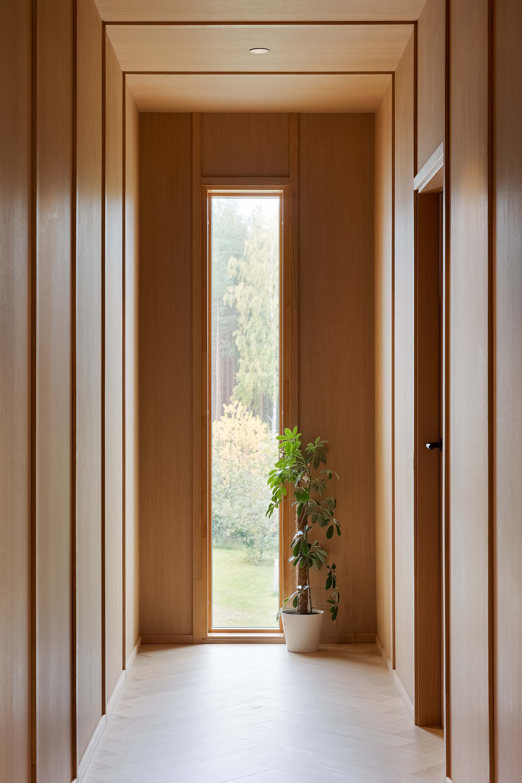 Minimalist wooden hallway with a tall narrow window at the end and a potted green plant beside it.
