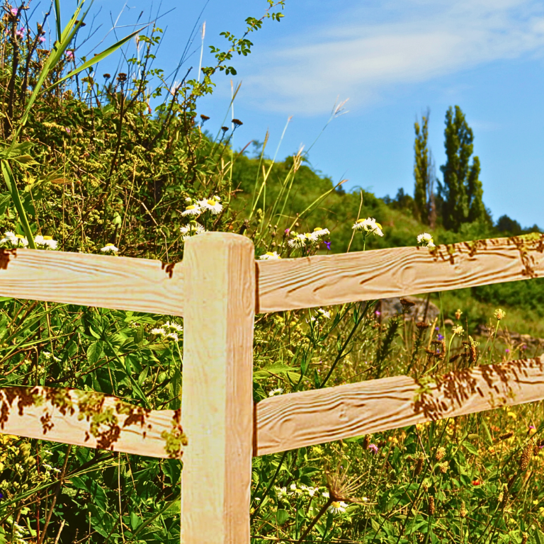 A close-up of a light brown fence post and two horizontal rails, possibly faux-wood concrete, surrounded by tall grass and small white wildflowers under a blue sky.