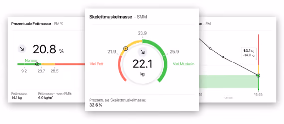 Messwerte der Körperanalyse: Fettmasse und Skelettmuskelmasse