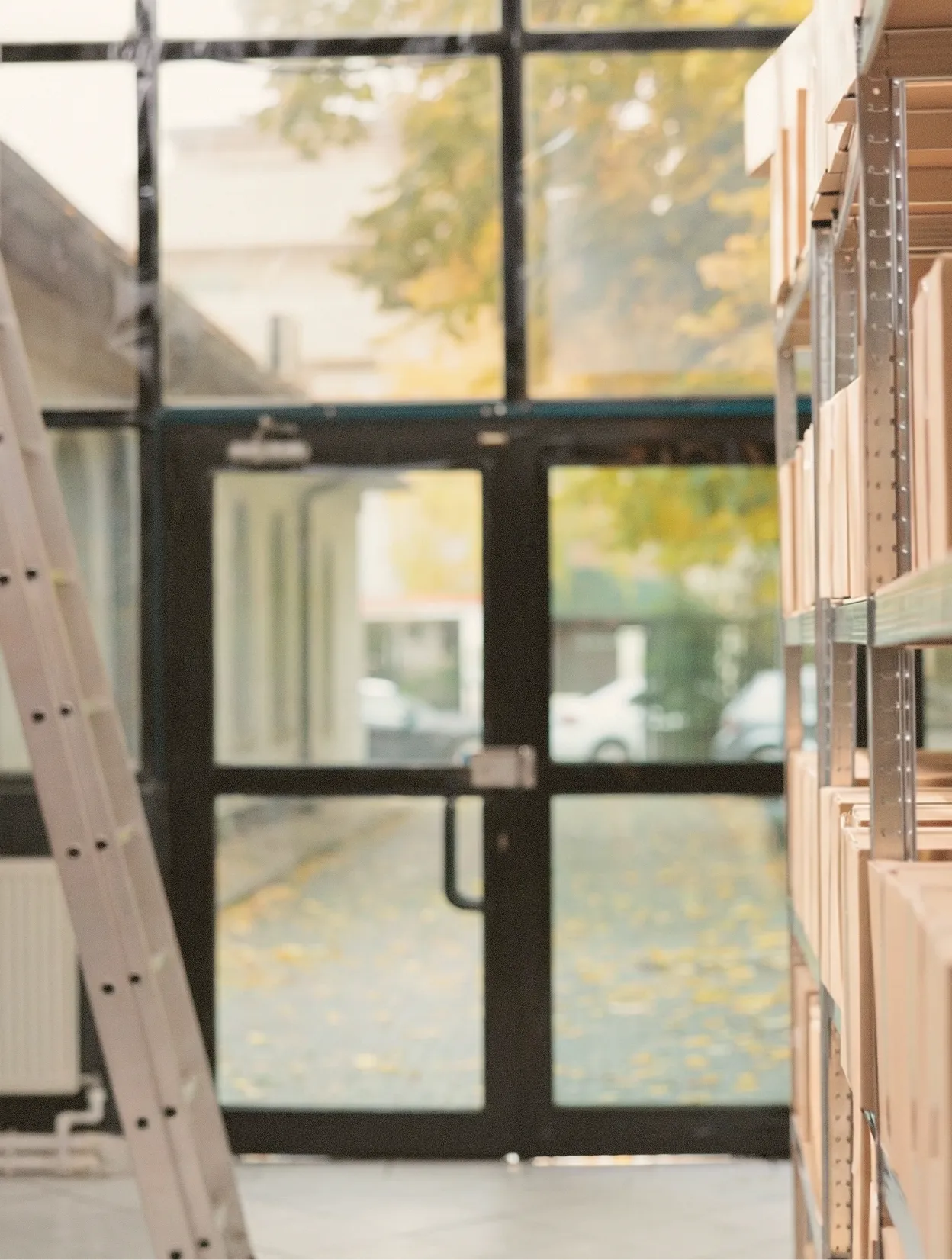 Interior view of a storage room with metal shelves filled with boxes on the right and a tall ladder on the left, facing glass doors showing autumn leaves outside.