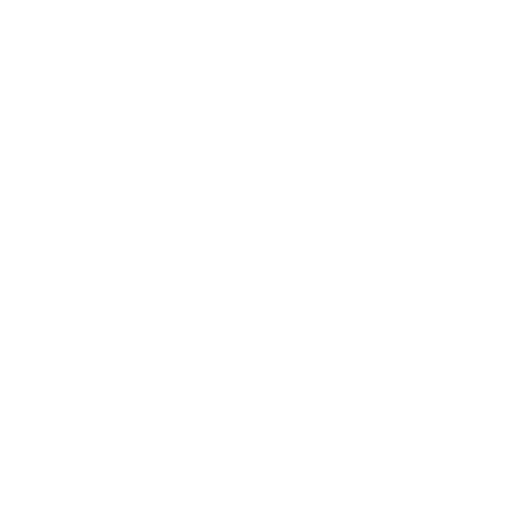 Securiport Gambia - Global Government Partnerships