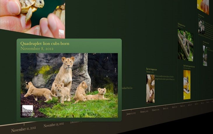 Timeline made with Timeline 3D