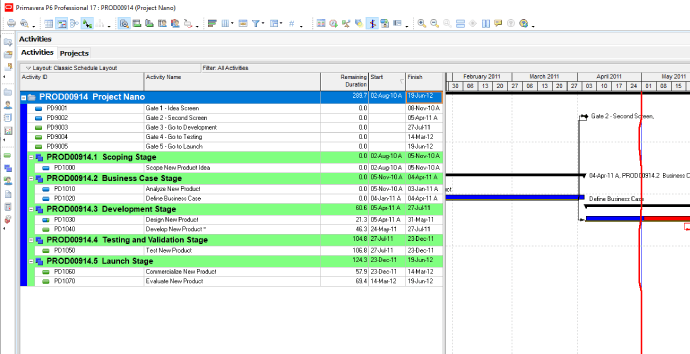 Project schedule in Primavera P6