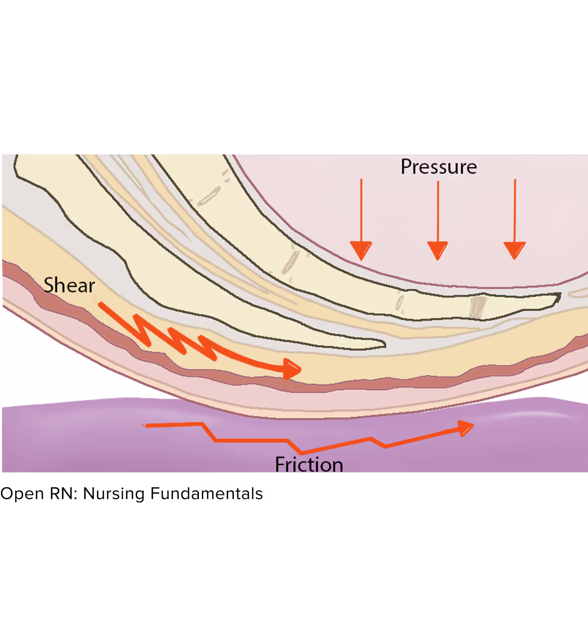 Backed by Clinical Evidence