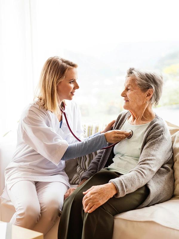 Explore Features of the SideLyer 