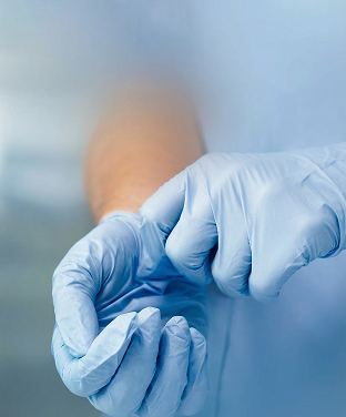 Person wearing and adjusting blue disposable gloves on their hands.