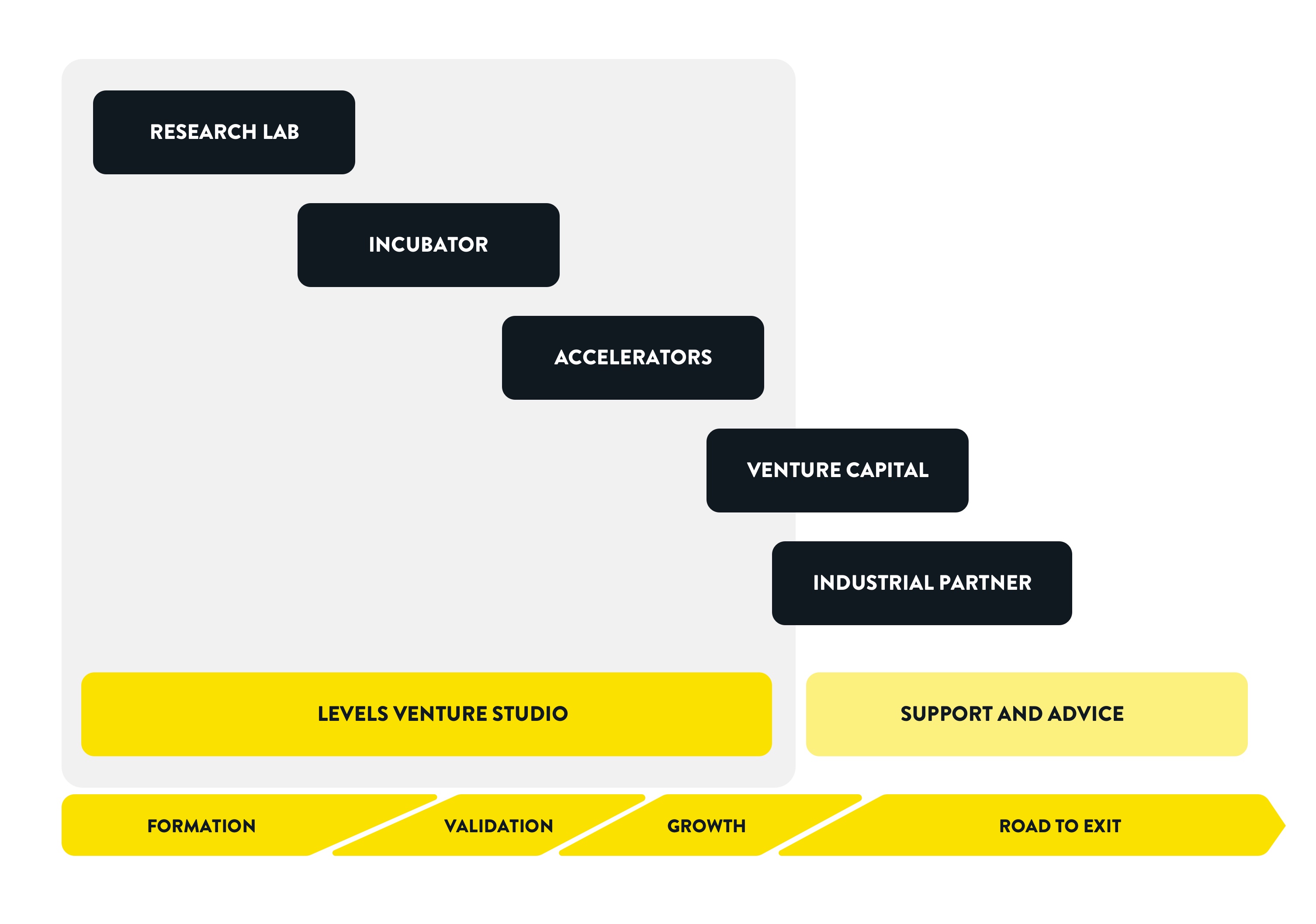 Levels venture studio model