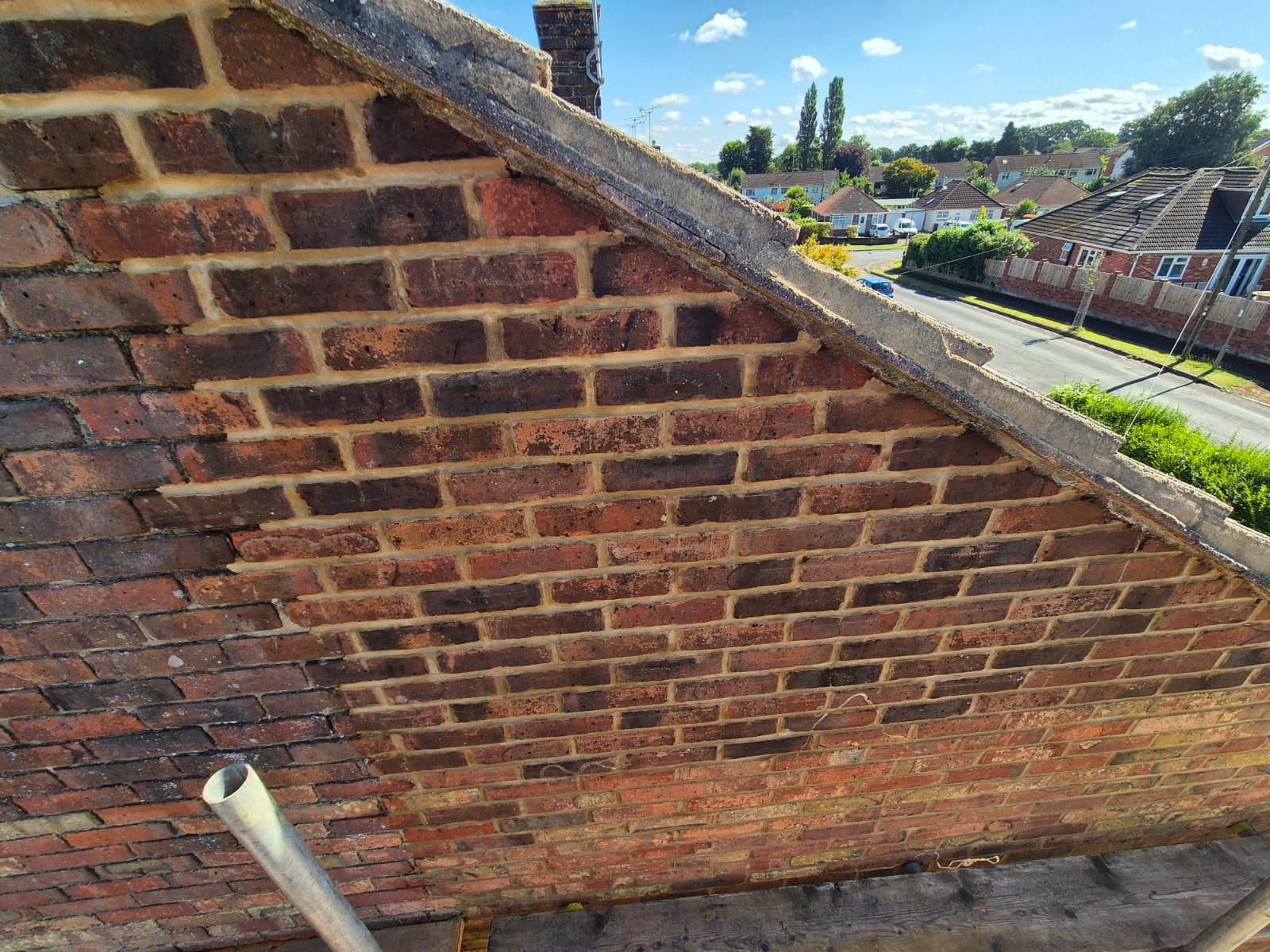 [team] image of chef