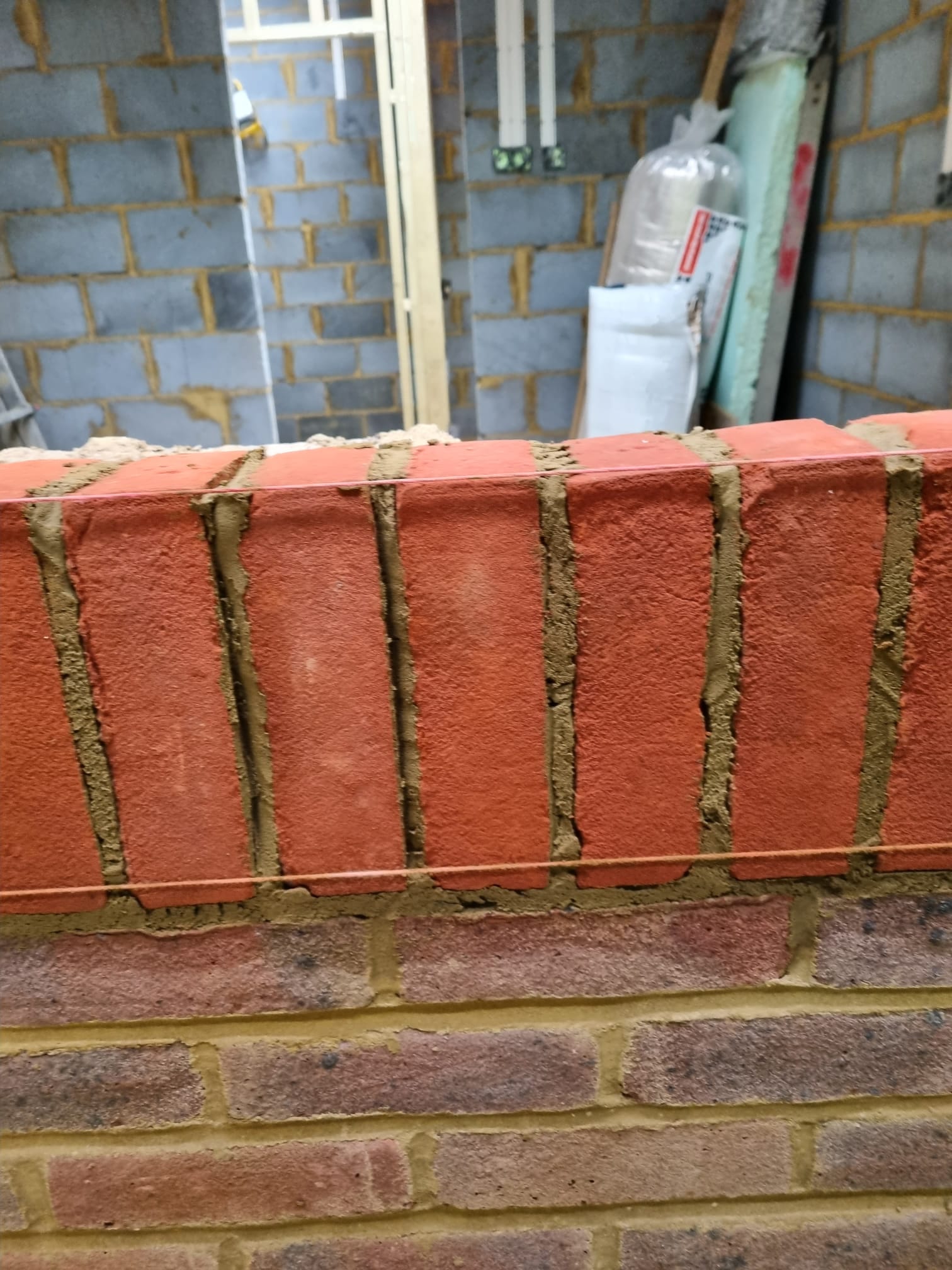 [background image] of a variety of pet products for a pet store