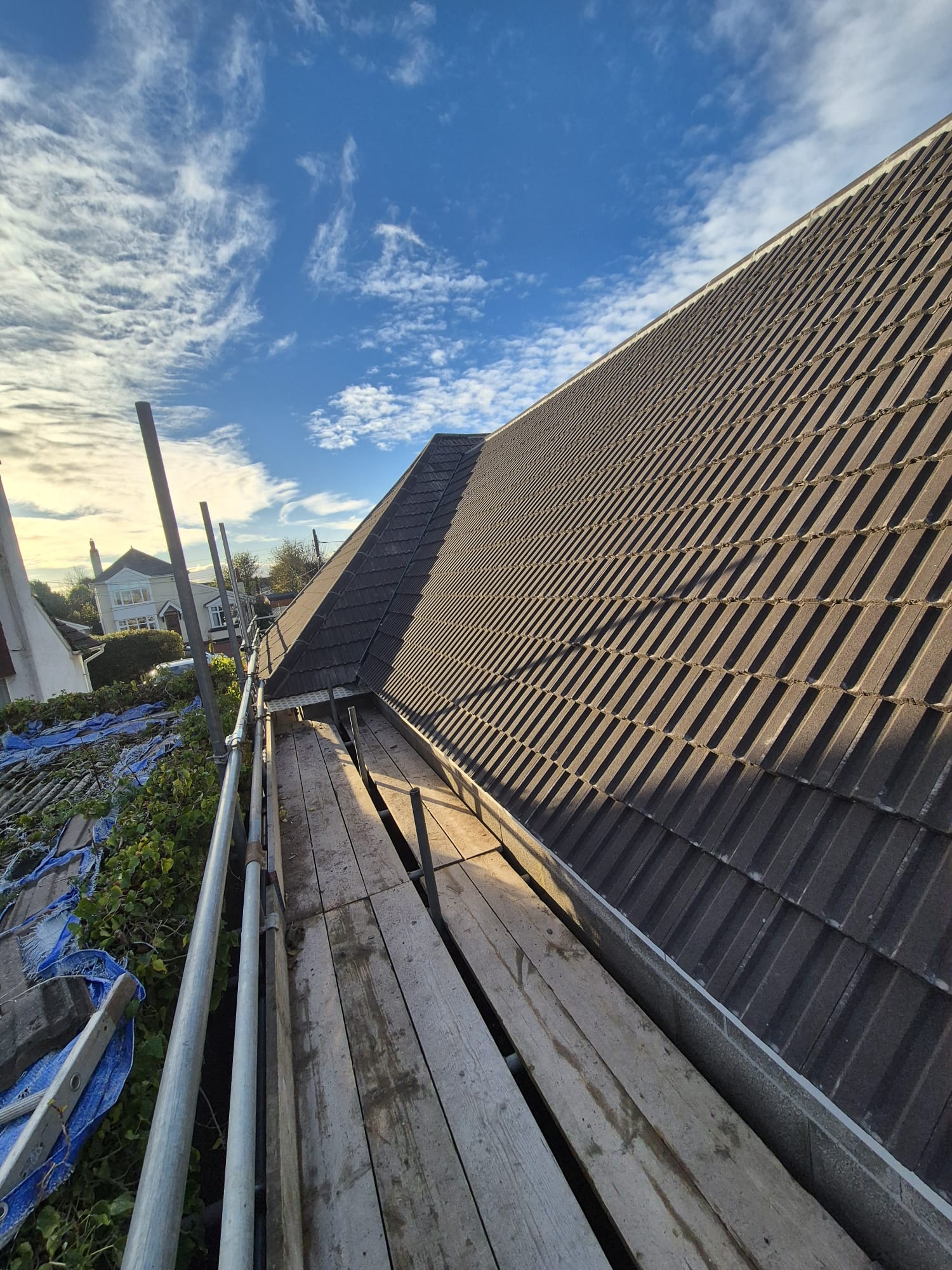 [background image] image of local landscape (for a bed & breakfast)