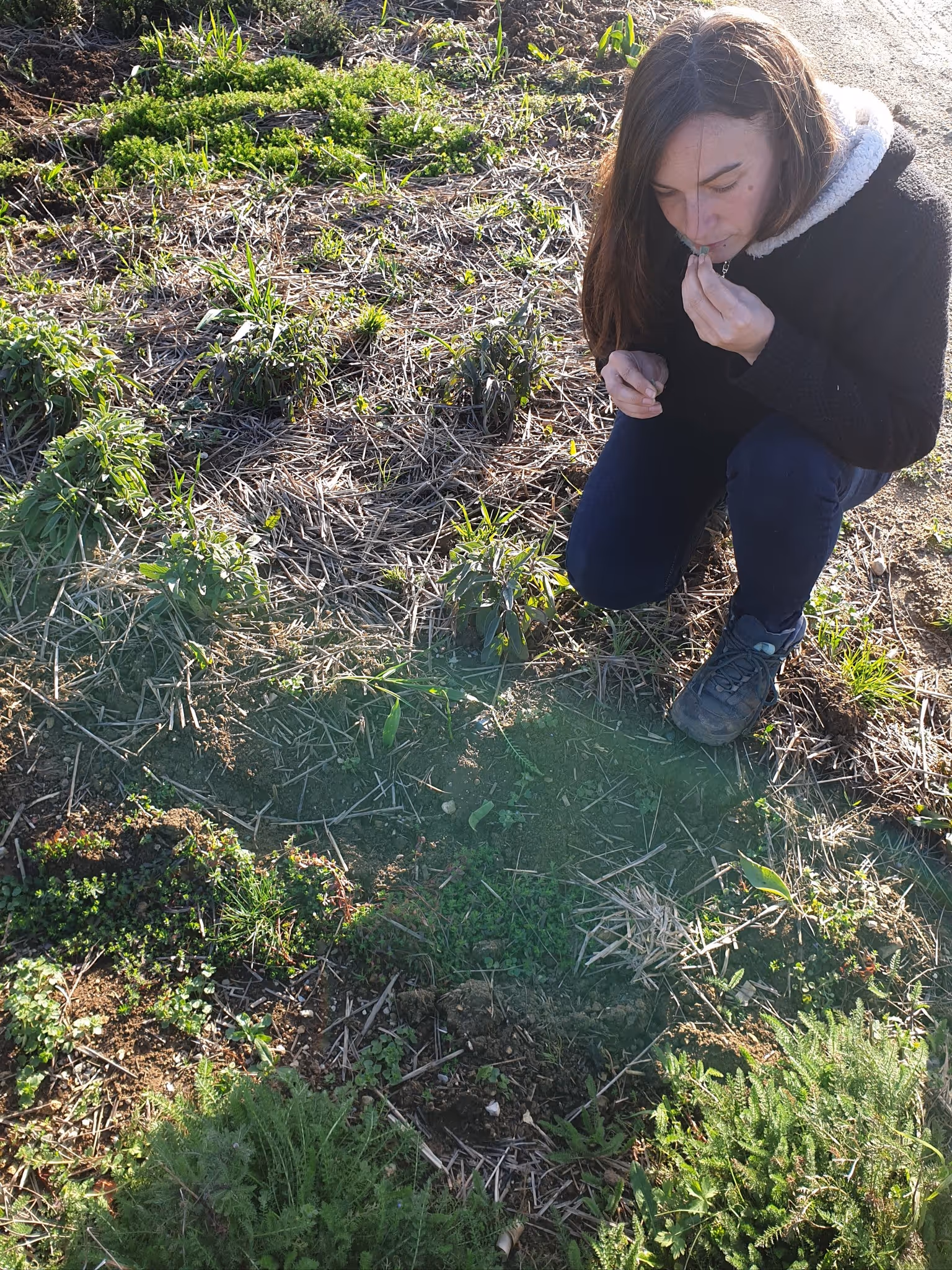 Aude de ode aux plantes dans son champ