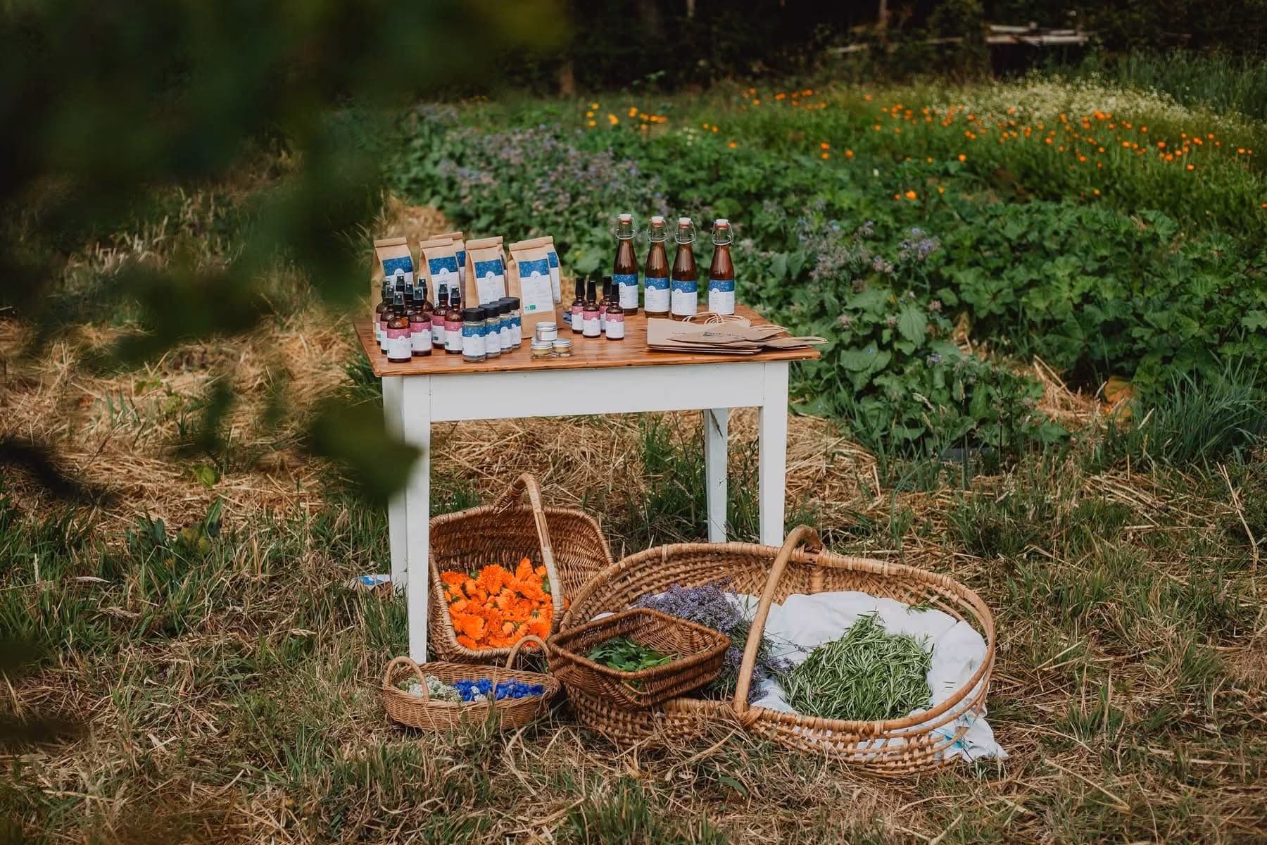Tous les produits de la gamme, dans le jardin