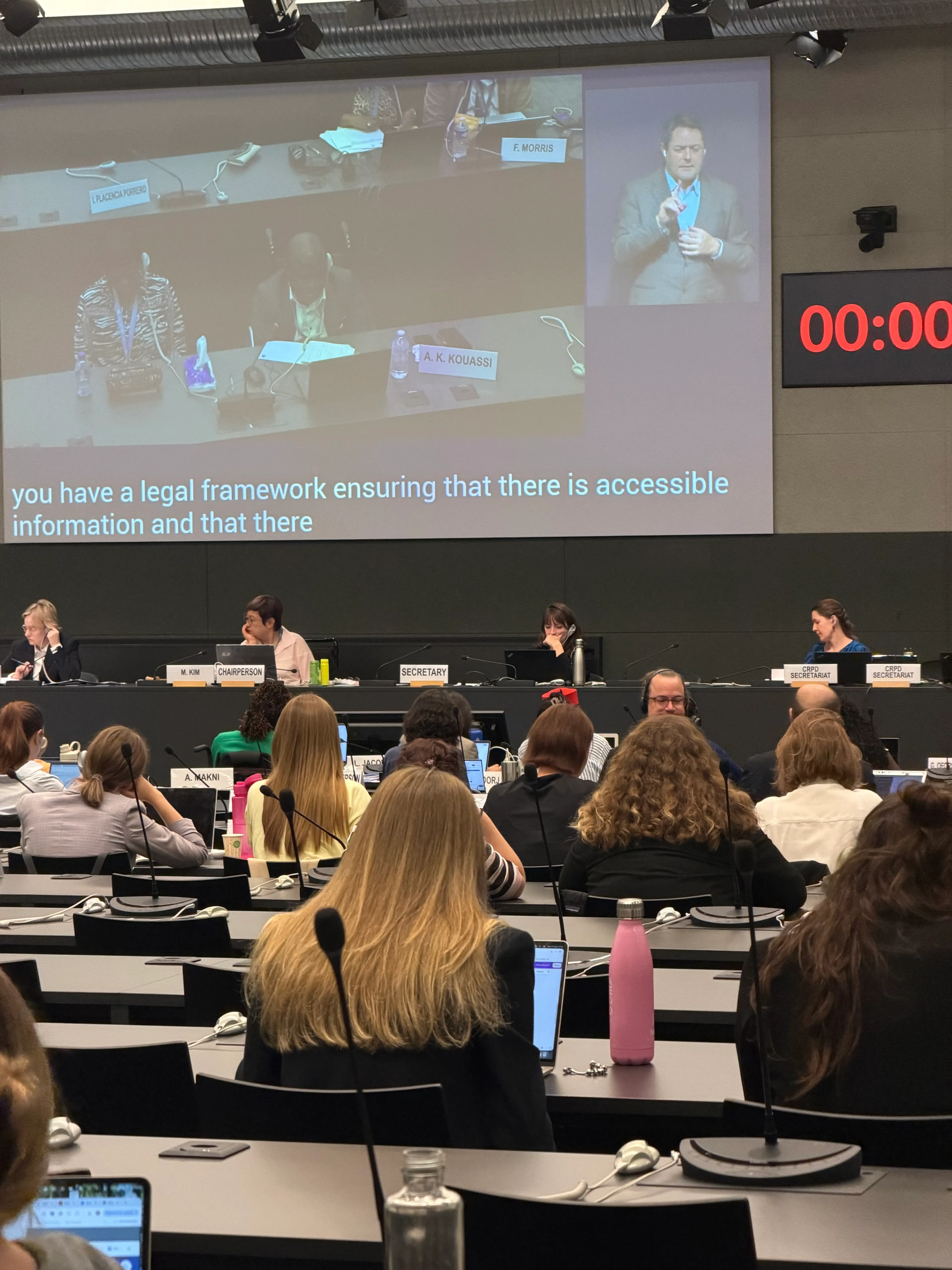 Particpants of the Committeee during the session. A screen with a sign language interpreter at the front.