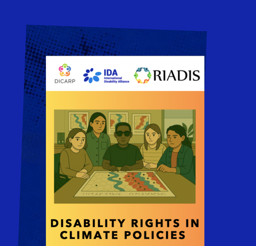 Disability Rights in Climate Policies. Report 2025