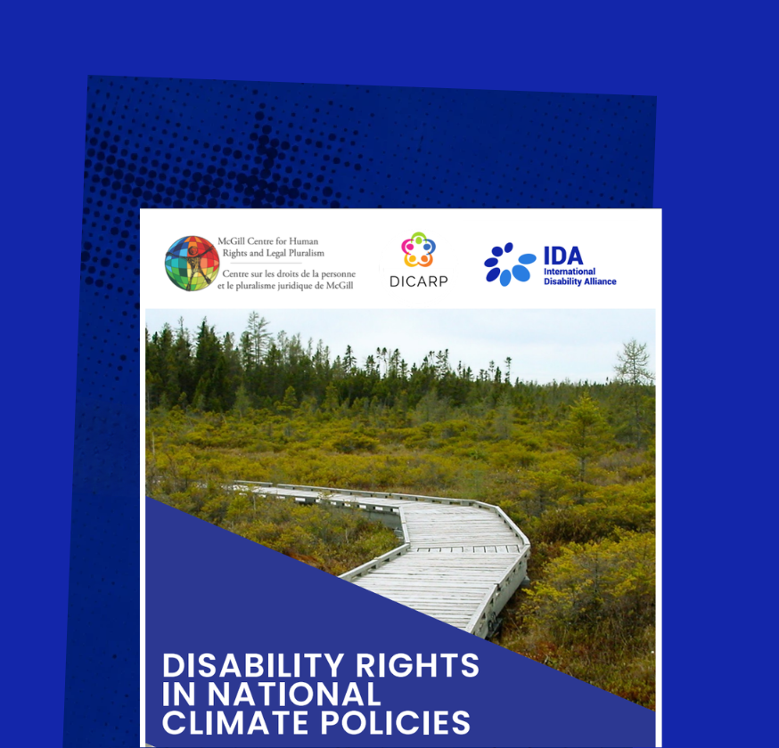 Disability rights in national climate policies. Status report, June 2022. A forest with a bridge