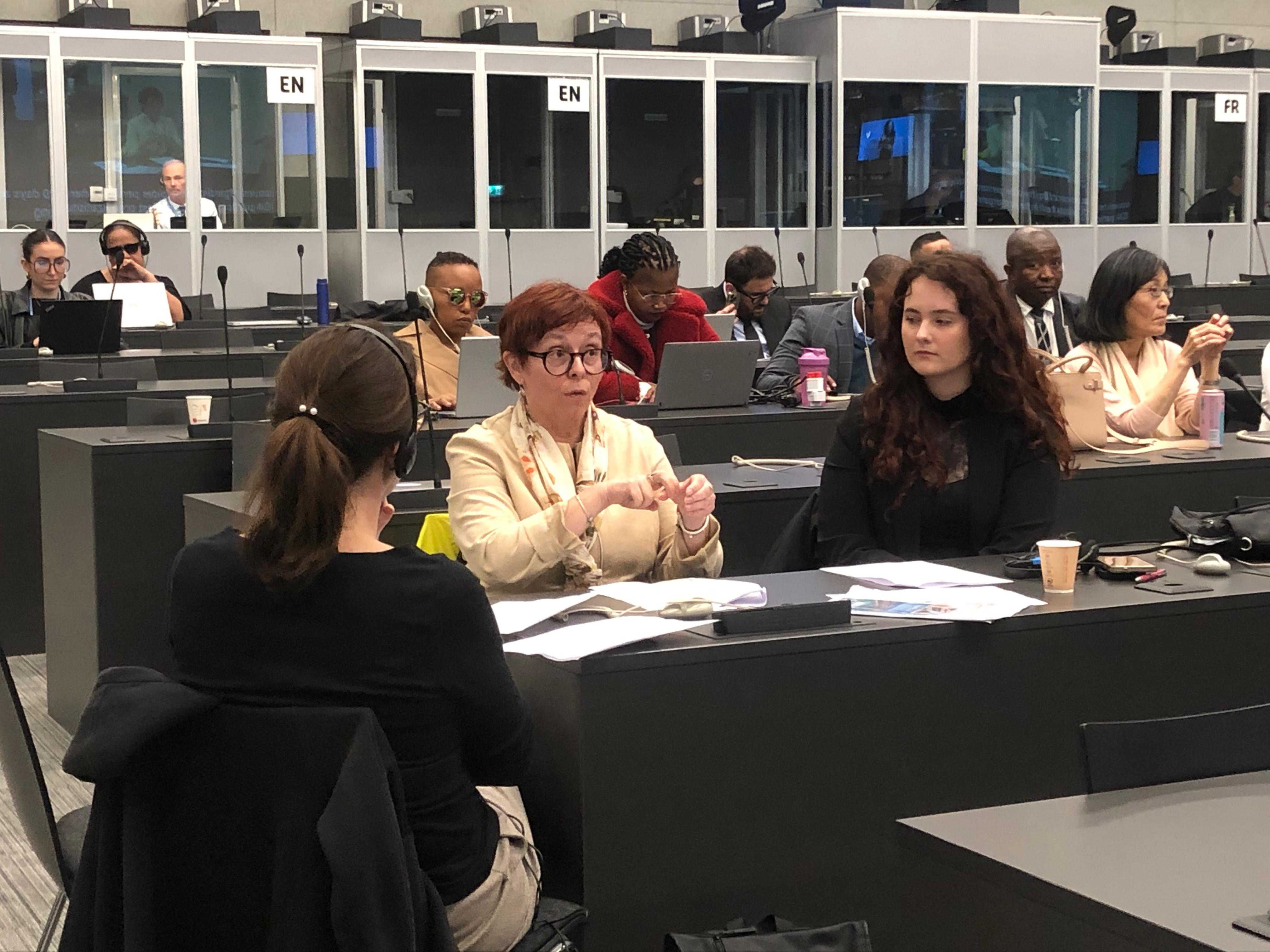 Vice President of IDA with Sign Language Interpreters at the 34th Session of the CRPD 