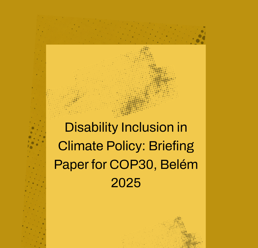 Disability Inclusion in Climate Policy: Briefing Paper for COP30, Belém 2025