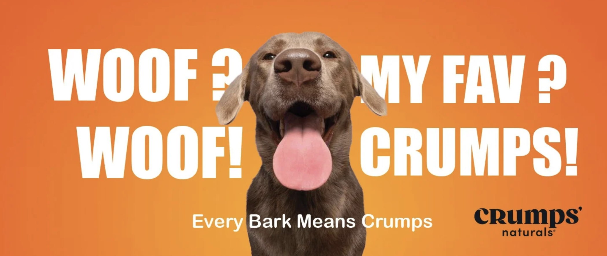 Happy brown dog with tongue out on orange background with text promoting Crumps natural pet treats.
