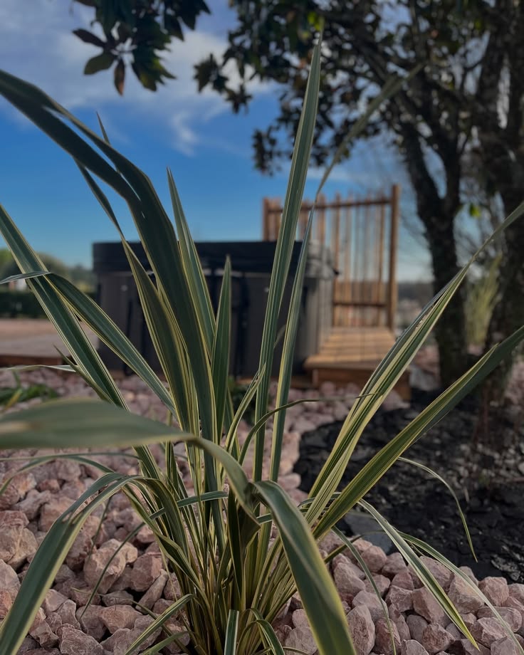 Photographie de réalisation d'une terrasse pour un SPA en Dordogne