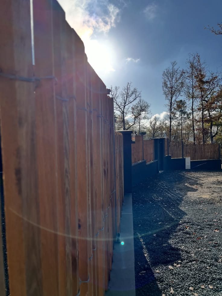 Photographie d'une réalisation de pose de clôture et plantation d'olivier
