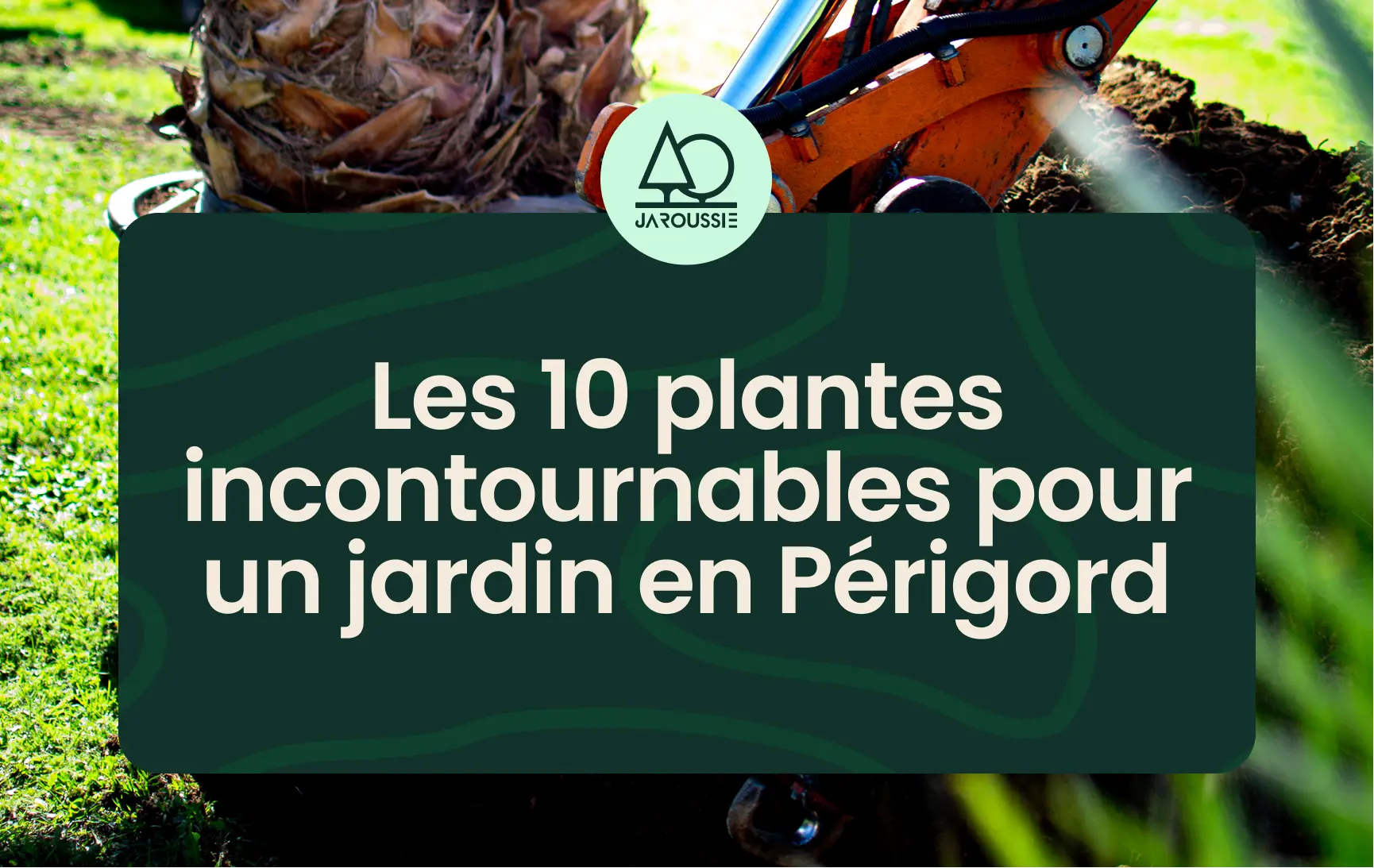 Les 10 plantes incontournables pour un jardin en Périgord