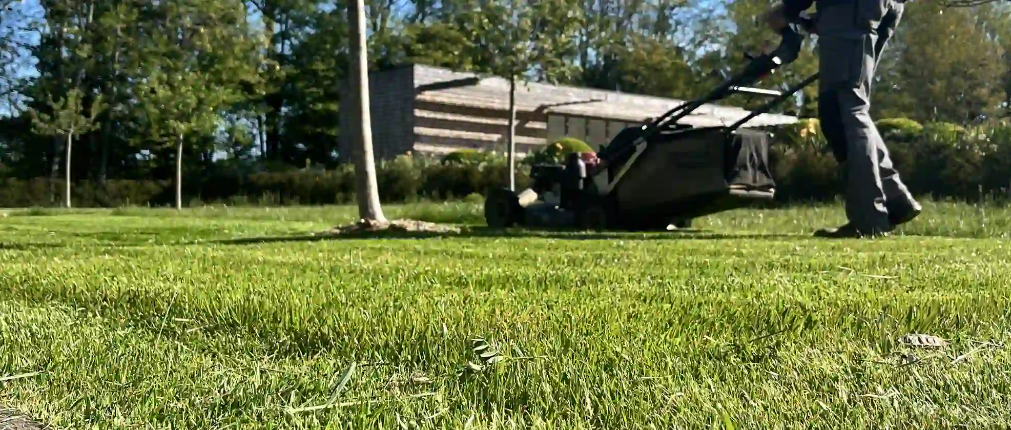 Entretien de jardin pour résidence secondaire en Périgord