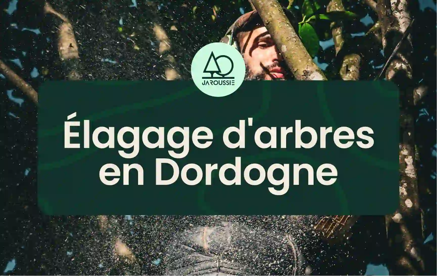 Élagage d'arbres en Dordogne