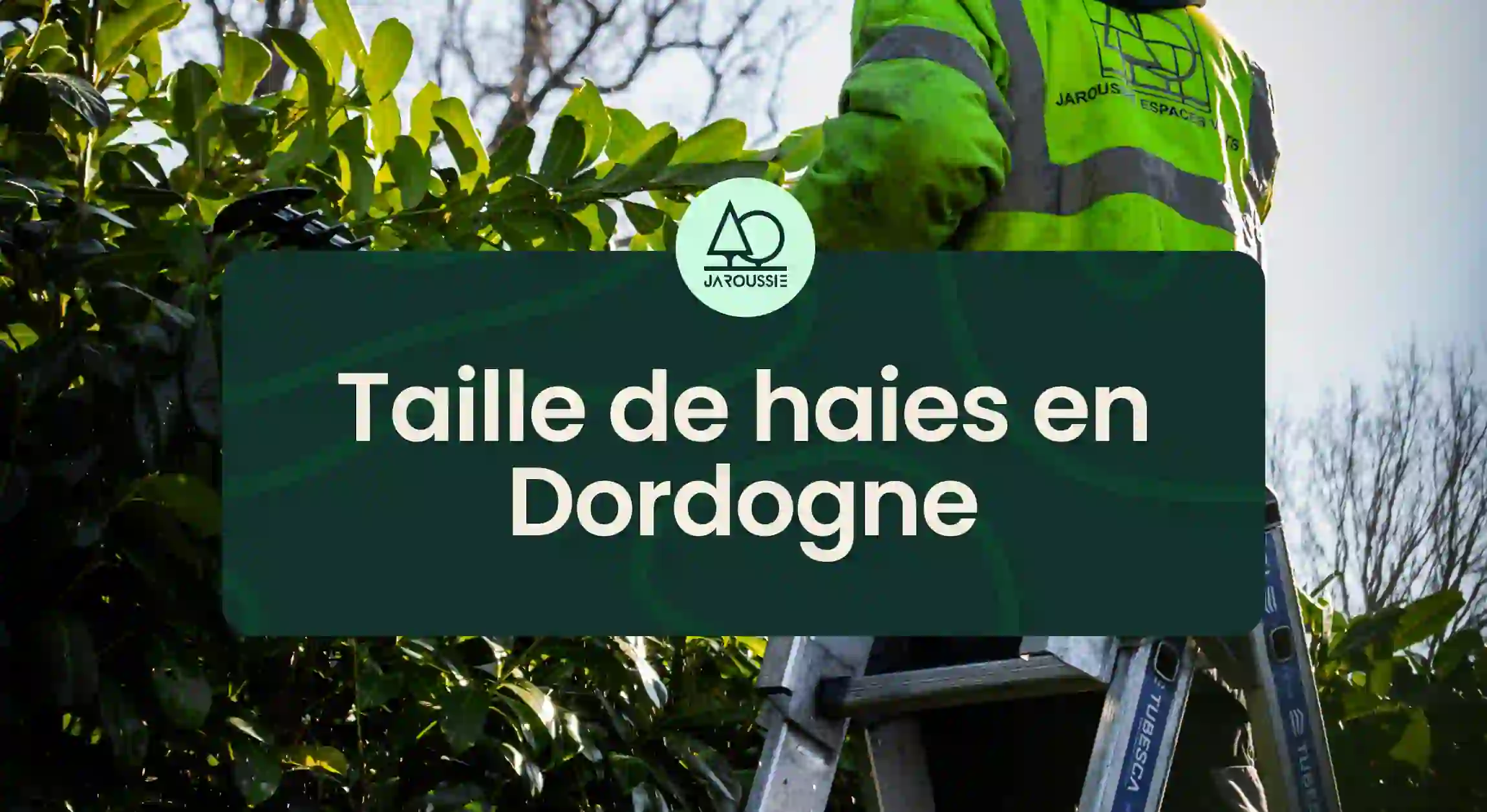 Taille de haies en Dordogne