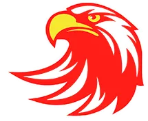 Redtail Roofing logo featuring a red and orange hawk head icon