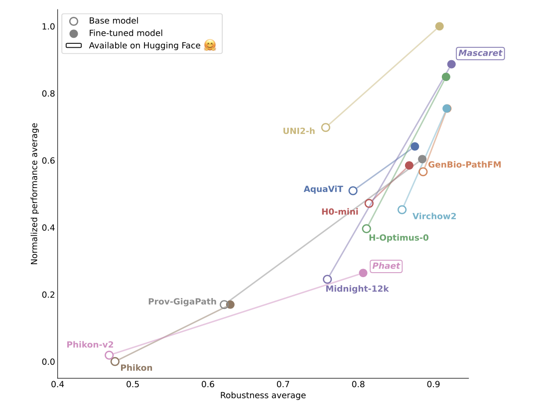 Chart: fine-tuning improves robustness and performance jointly across ten foundation models