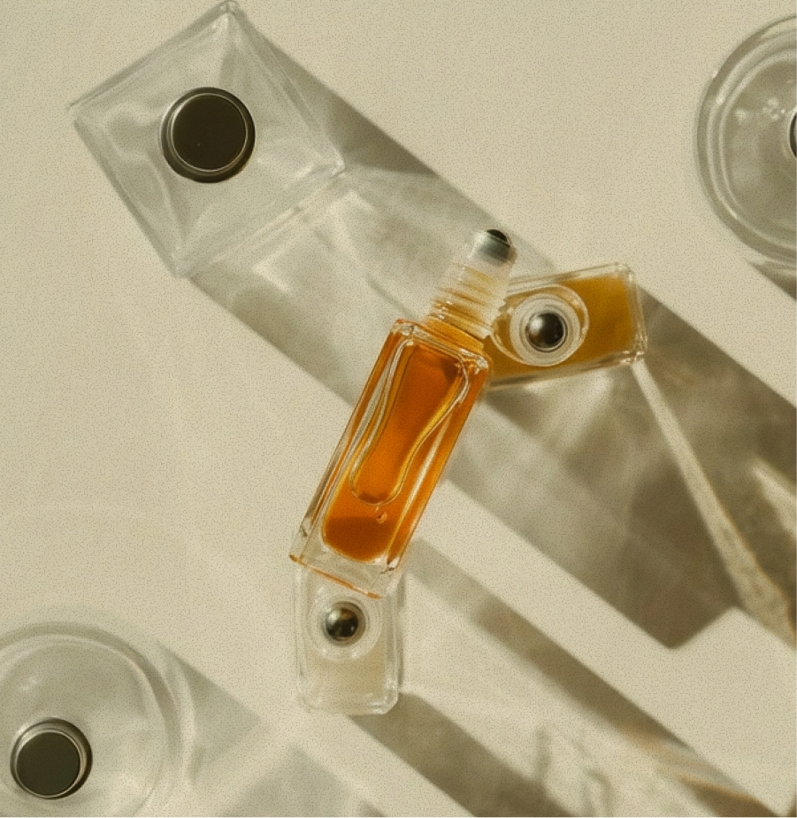 Importación y Exportación