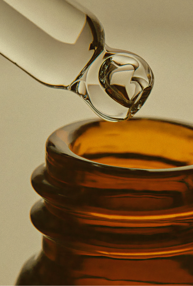 Estrategia y planificación