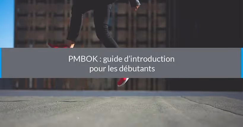 pmbok guide