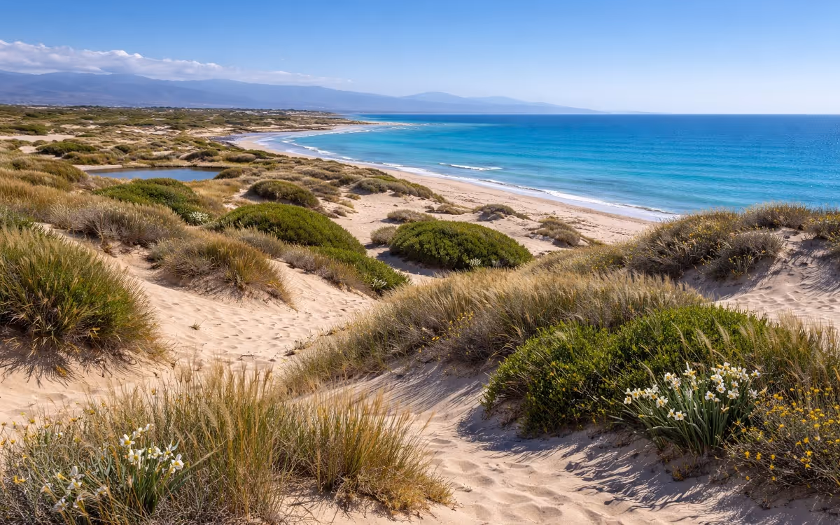 Punta Entinas - Sabinar