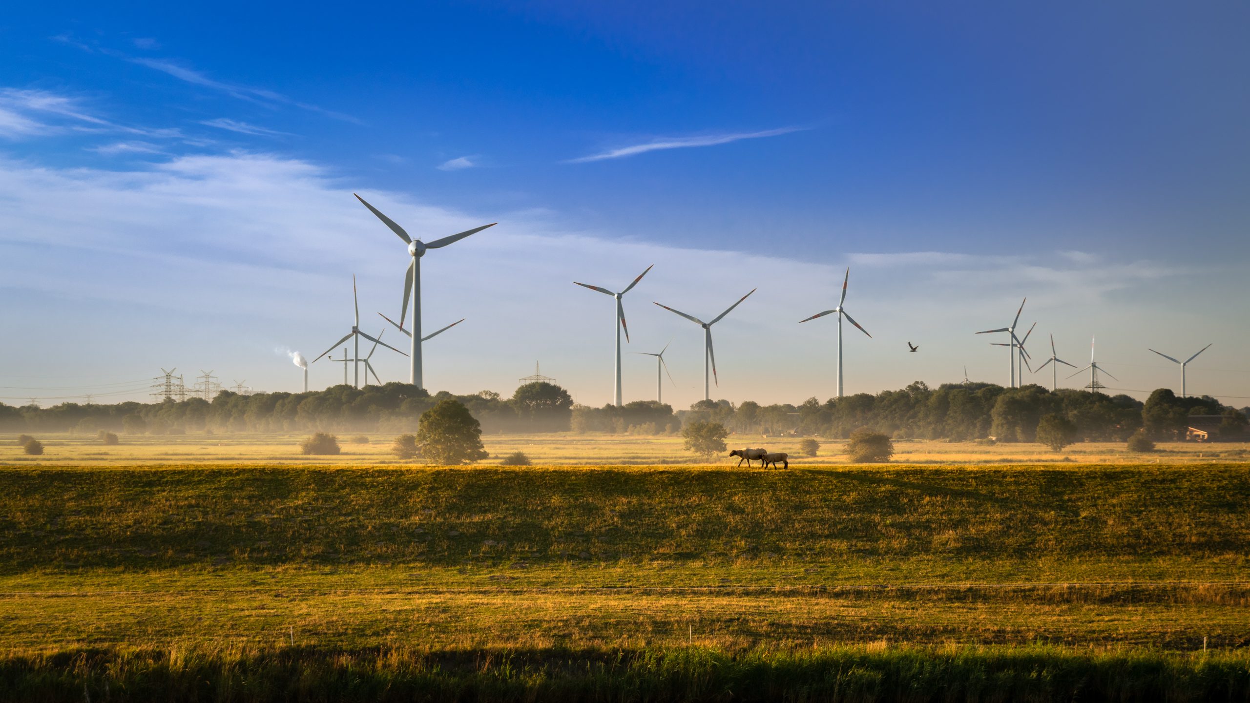 Article résilier contrat énergétique