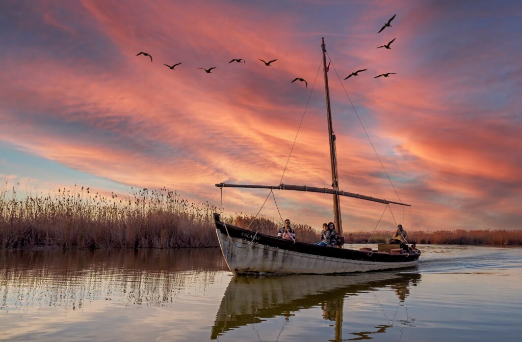 Image 12: Vivre à Valence - albufera