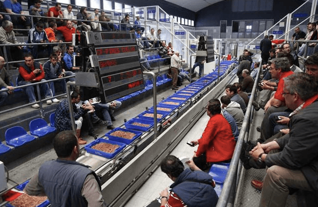 Image 29: LONJA DE ISLA CRISTINA