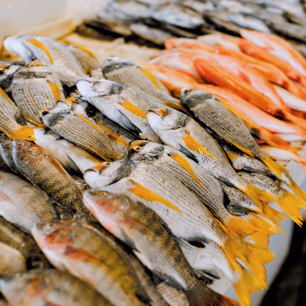 Image 22: Stand de poissons frais, avec une sélection variée de produits de la mer soigneusement exposés