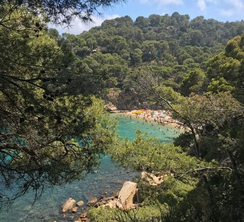 crique de la costa brava
