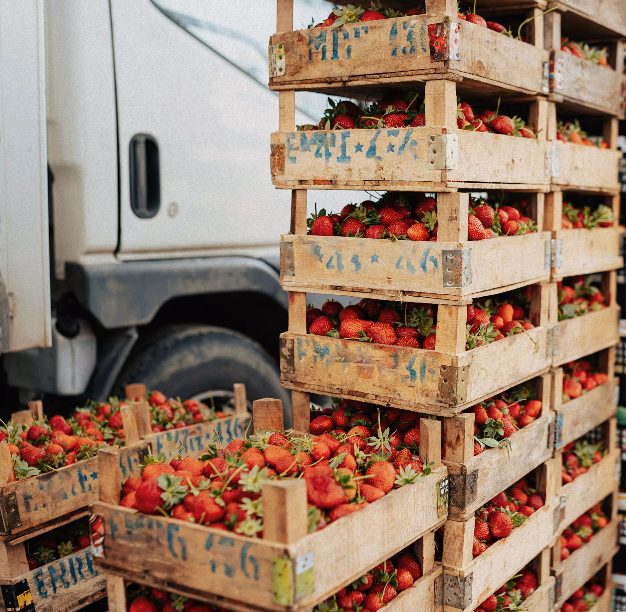 Wooden crates stacked and filled with fresh red strawberries next to a white delivery truck.