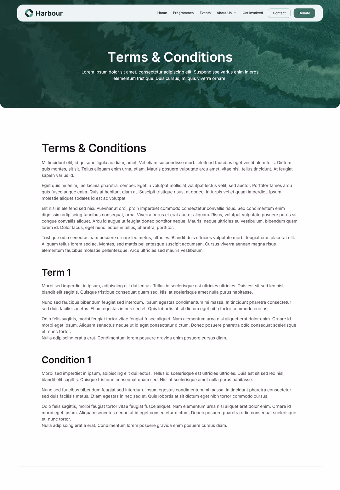 Mockup of the terms & conditions page