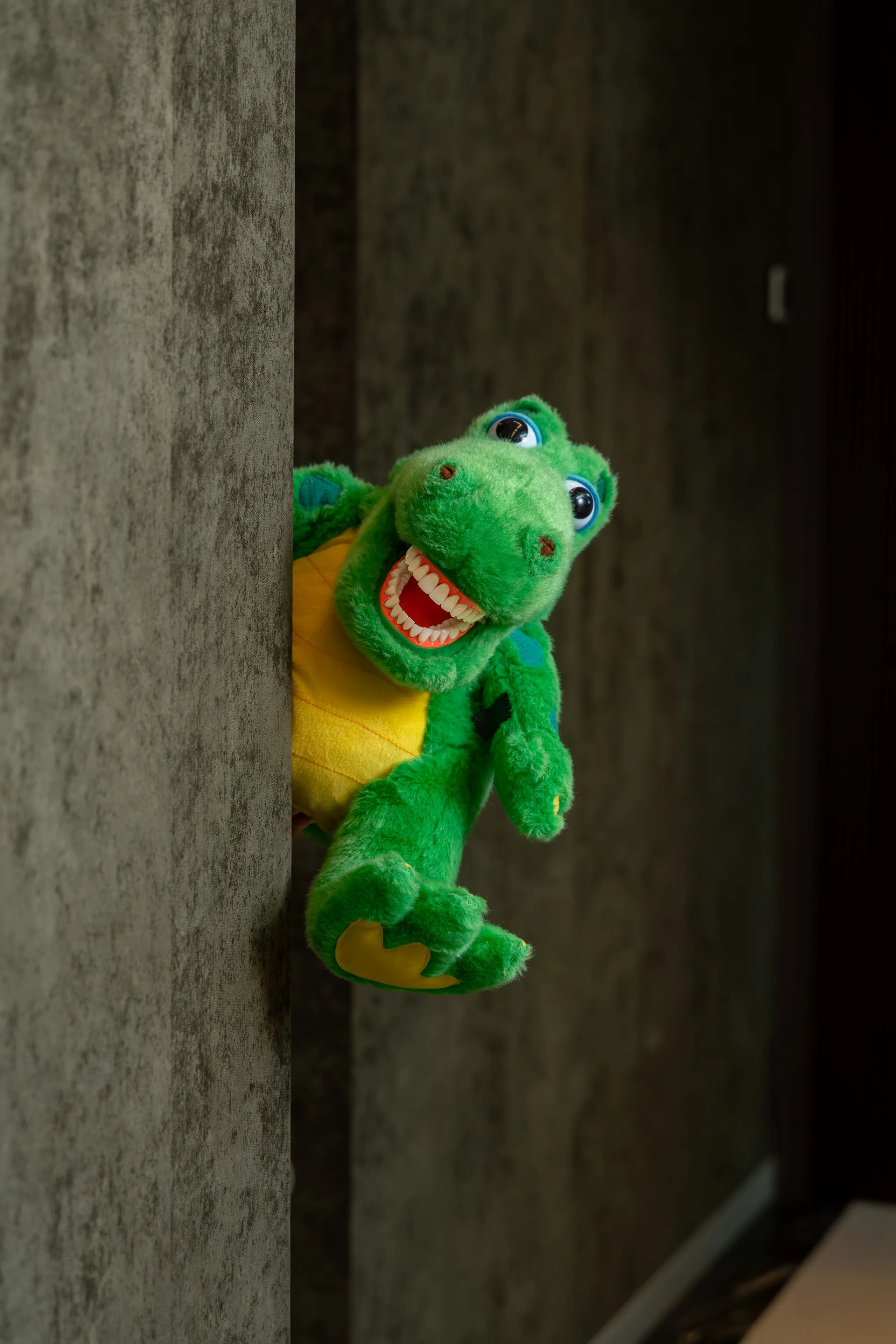 Novi steekt hoofd en poot uit achter muur.