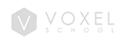Voxel School