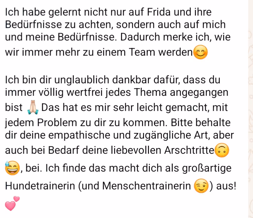 Nachricht einer Kundin über die achtsame Arbeit mit Hund und Mensch bei Lena Standke mit Dank für die wertfreie Begleitung und empathische Unterstützung im Training