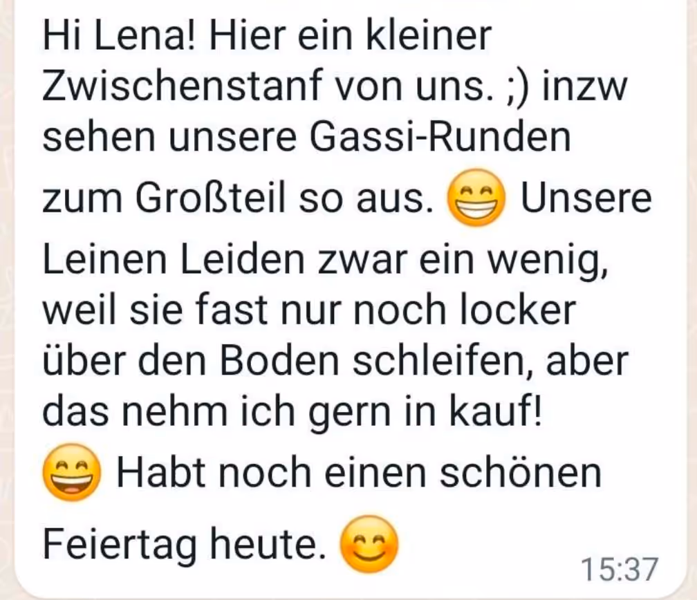 Nachricht über die positive Entwicklung der Gassi-Runden mit locker durchhängender Leine dank des Trainings bei Lena Standke