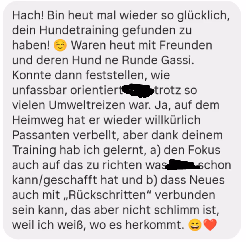 Nachricht über positives Erlebnis beim Spaziergang mit Freunden dank Hundetraining von Lena Standke mit Fokus auf Orientierung und Gelassenheit trotz Umweltreizen