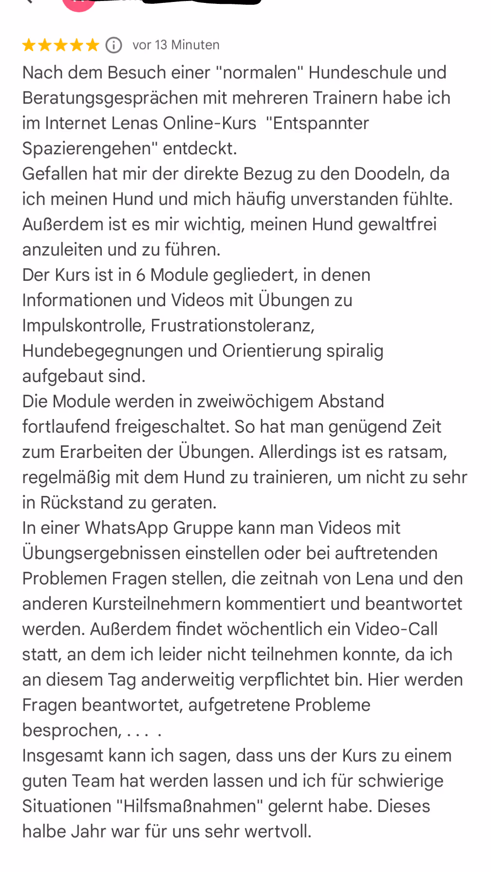 Detaillierte Google Rezension über den Online-Kurs Entspannter Spazierengehen von Lena Standke mit Fokus auf Doodles gewaltfreier Hundeerziehung und Übungen für das Mensch Hund Team