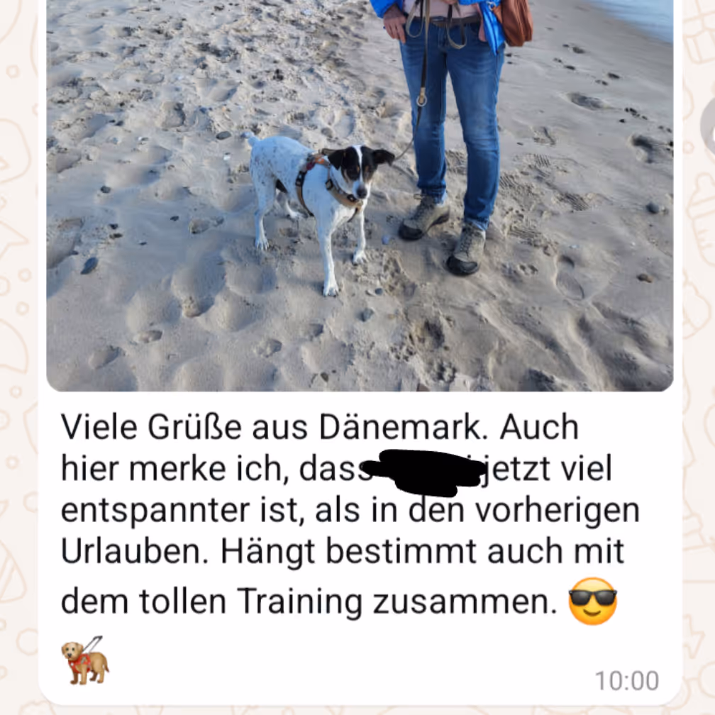Hund steht entspannt am Strand von Dänemark neben seiner Halterin mit Leine in der Hand als positives Feedback zum Hundetraining bei Lena Standke
