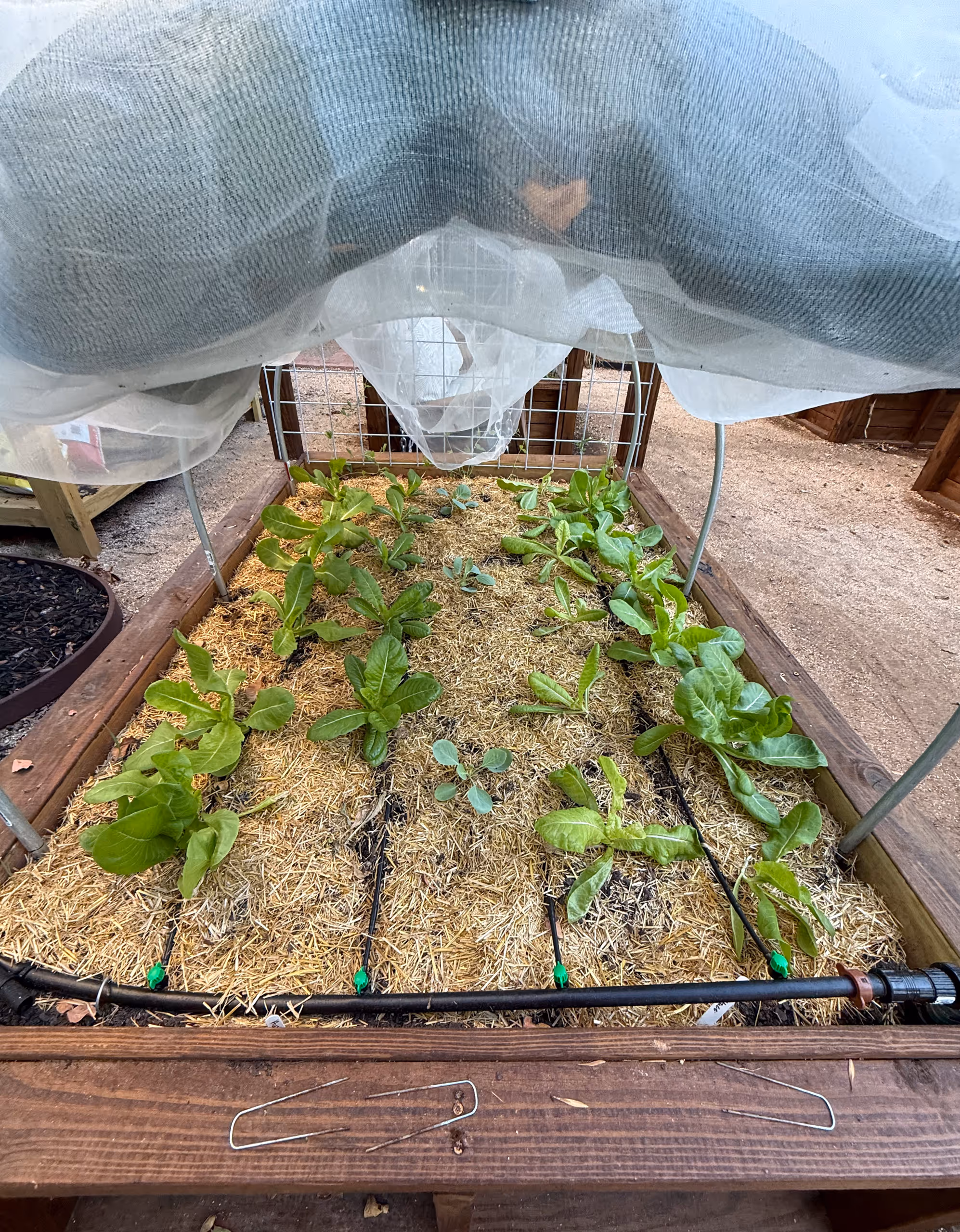 image of hydroponic solution setup for a food and agtech business