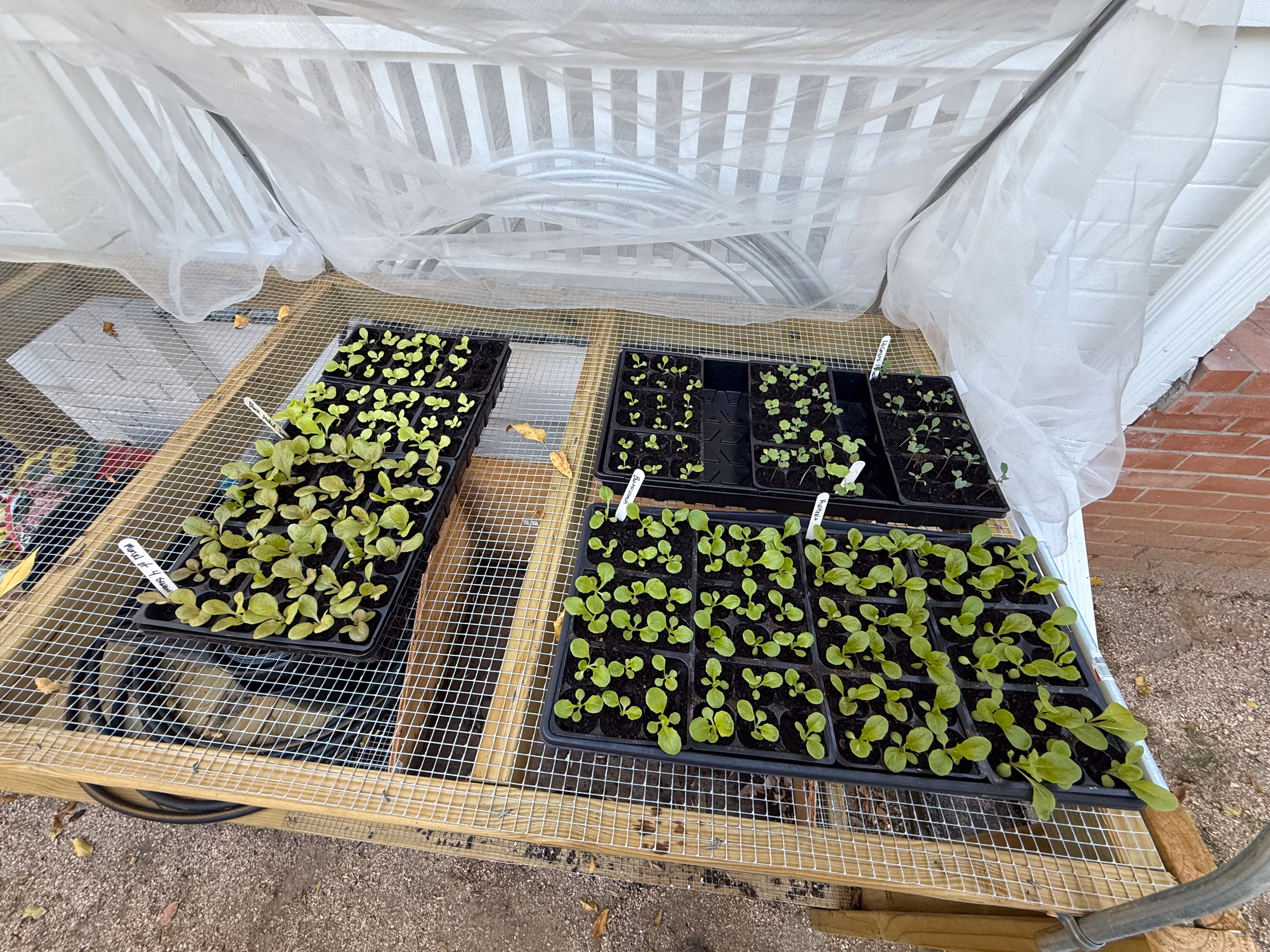 image of vertical farming system